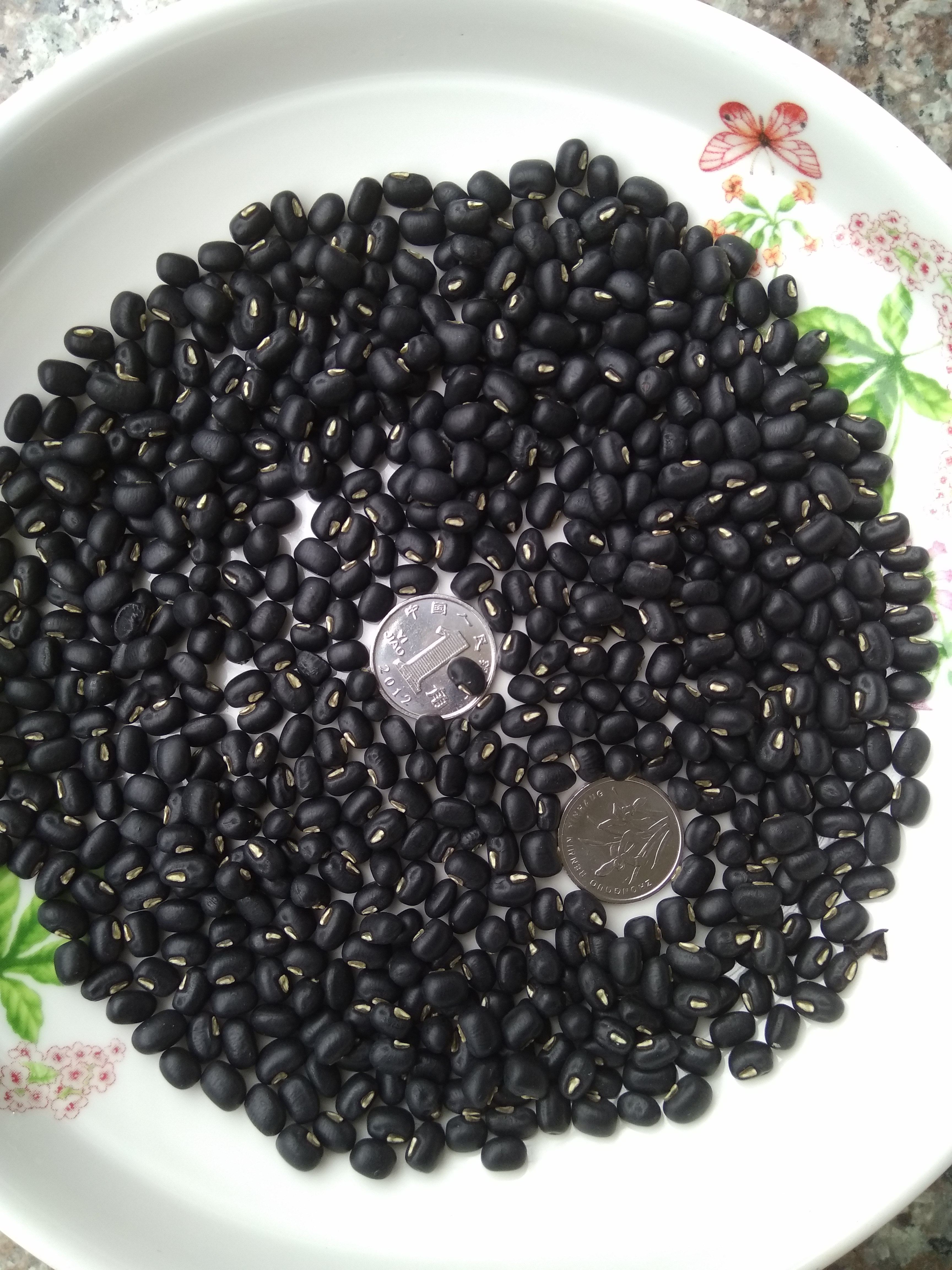 豆中之王广东阳江本地饭豆眉豆豇豆农家自产黑豆