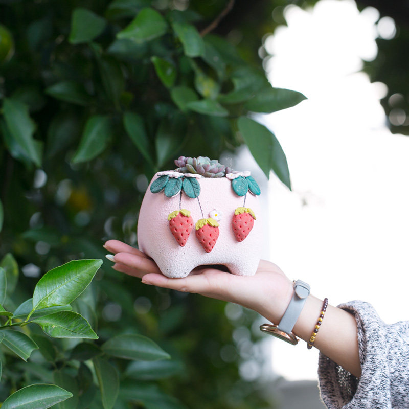 有点甜|韩式手捏立体草莓邹菊创意多肉花盆粗陶透气植物花盆