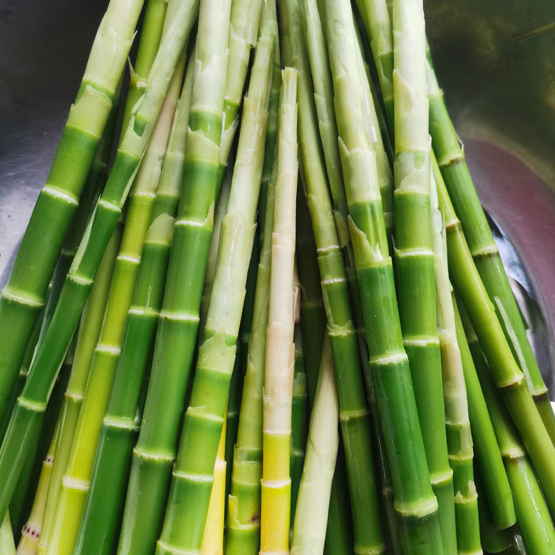 鸟笋竹笋野生桂林灌阳阳山新鲜现挖小笋带壳竹笋