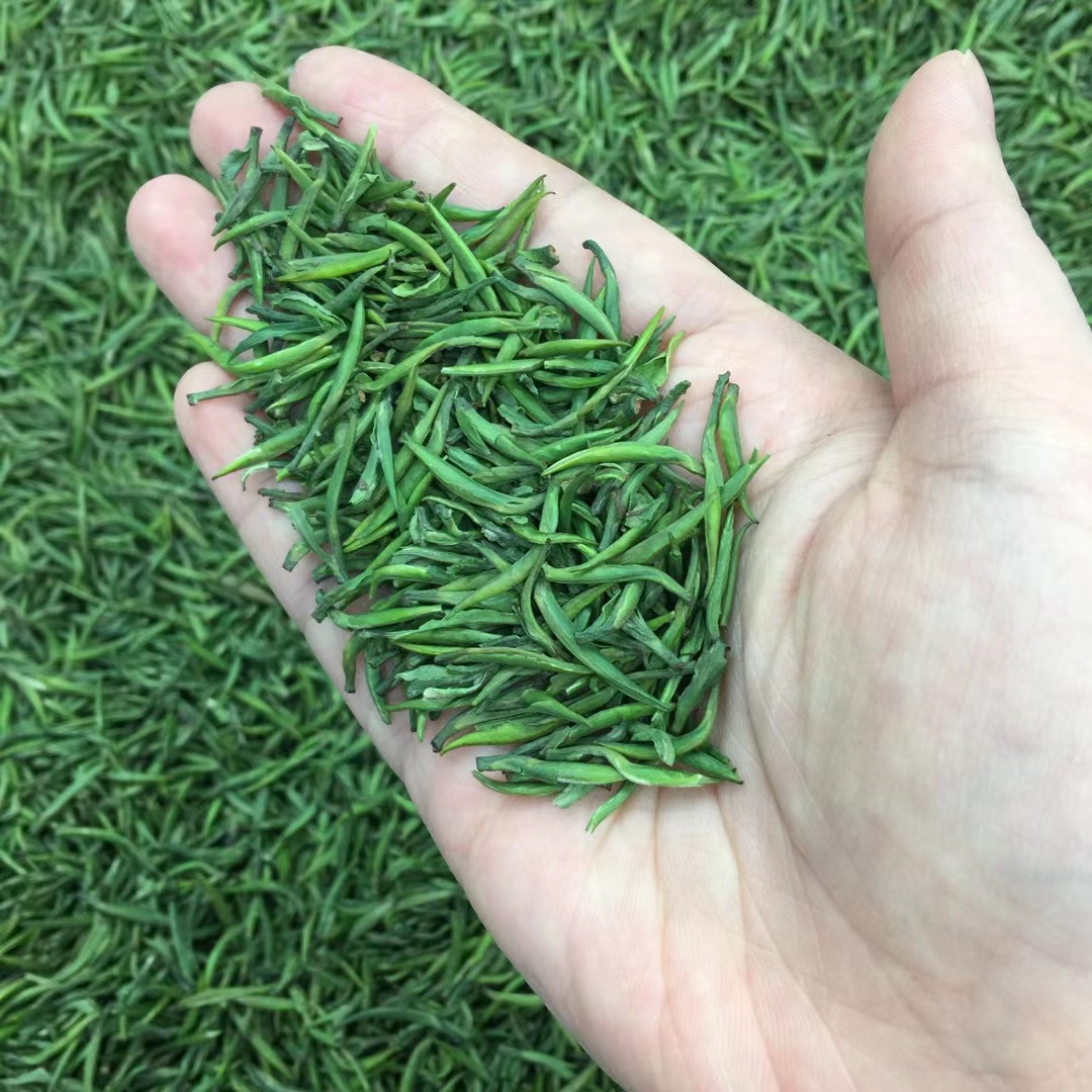 2022宁都特产正宗小布单芽剑绿明春茶50克包邮特色产区绿茶