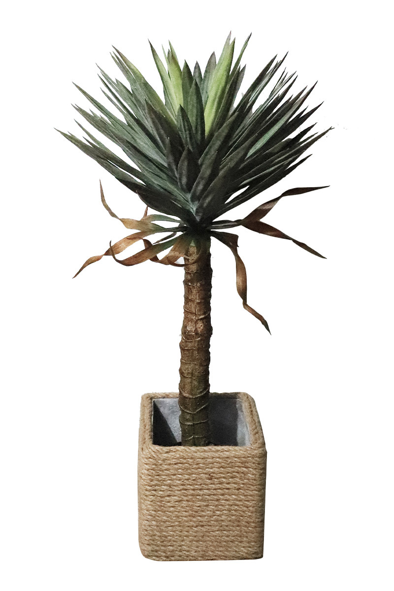 仿真仙人掌绿植热带造景植物组合北欧欧风室内仿真植物盆景