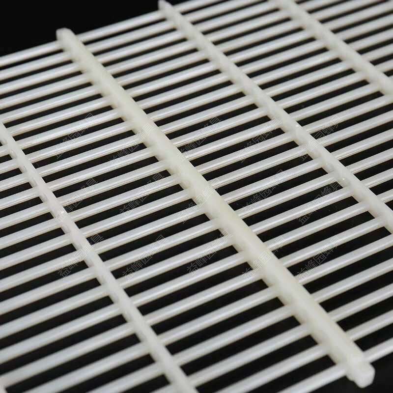 中蜂塑料隔王珊隔王片蜜蜂立式隔王板蜂箱框式隔王防逃框10片包邮