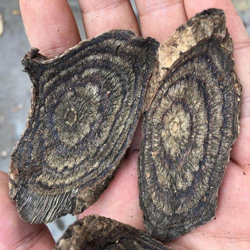 正品野生骨藤中药材黒骨血风乌春根打春根500g克包甘草