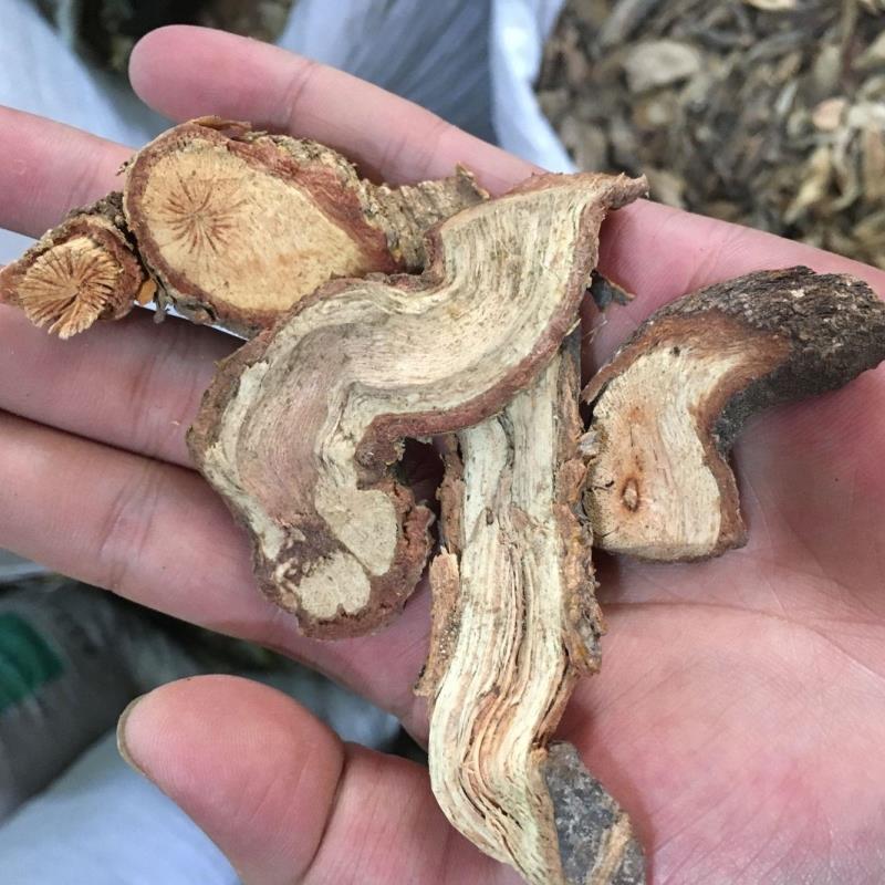 南蛇野生中草药藤根穿山山水水蛇纯根500g新货甘草