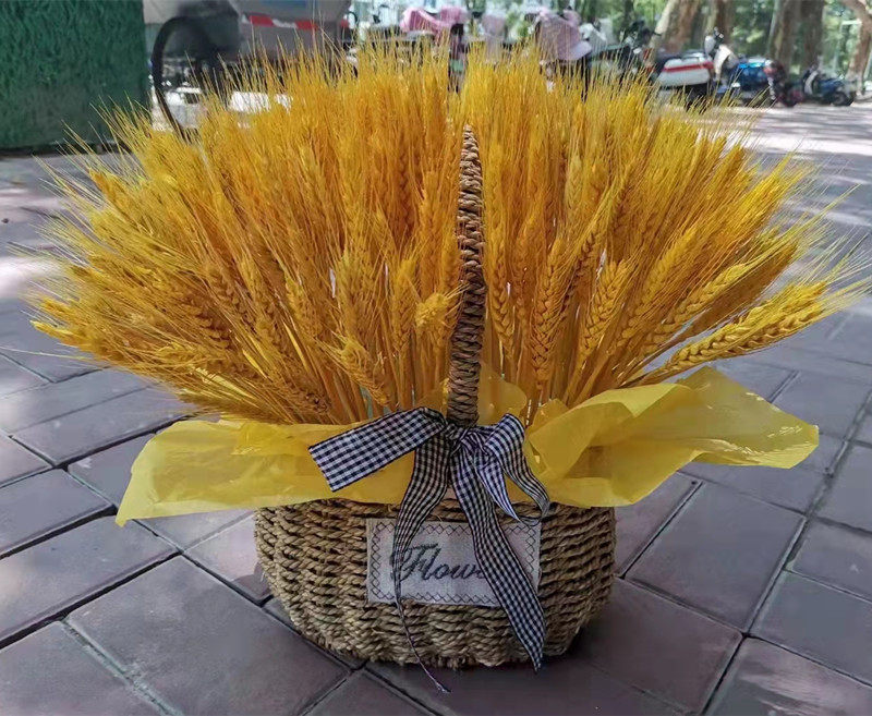 麦穗黄金干花小麦小麦花花束大麦搭配田园客厅仿真花