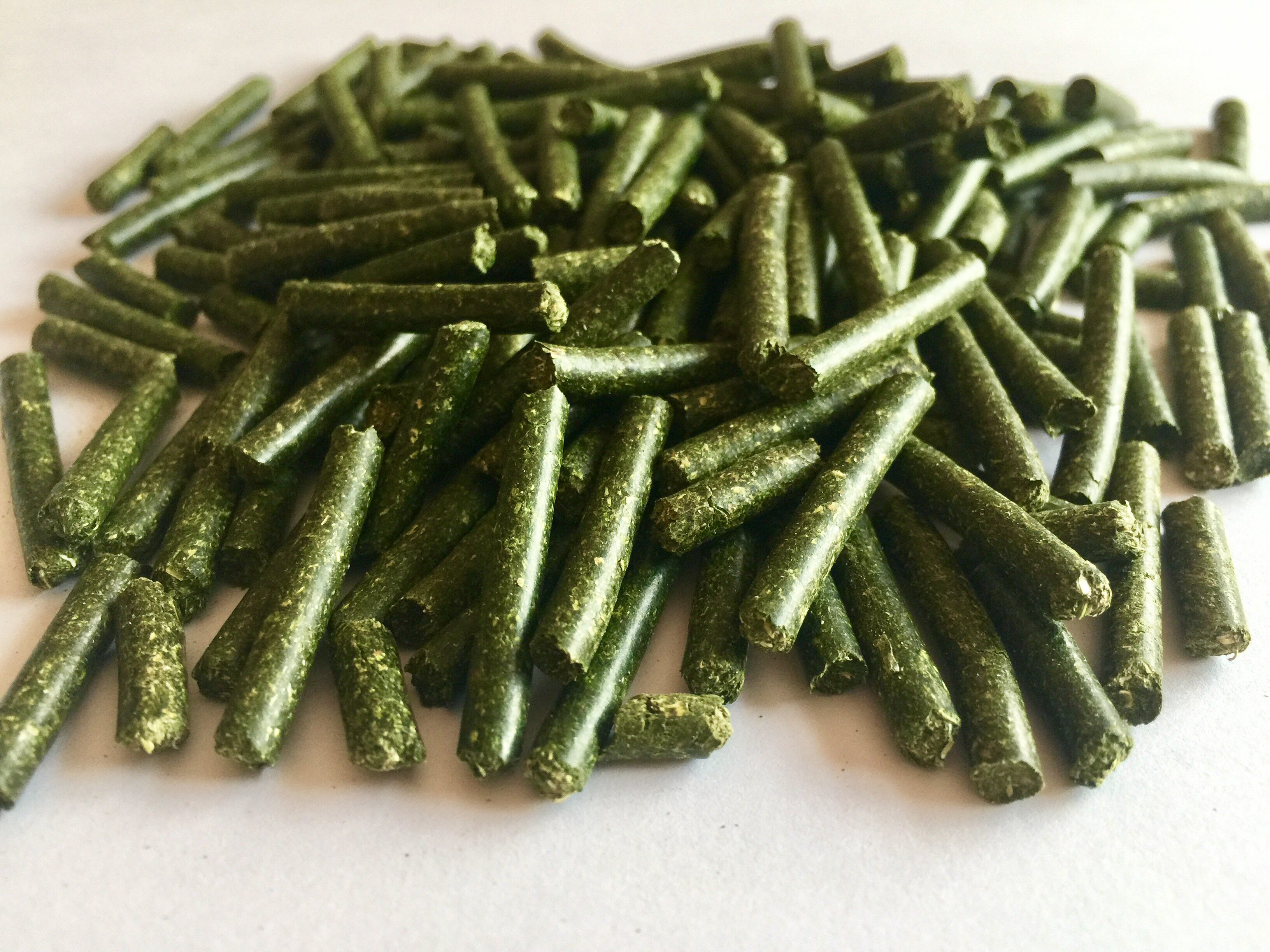 苜蓿草颗粒/除臭宠物苜蓿草兔粮5斤装/防球虫幼兔粮成兔粮兔饲料