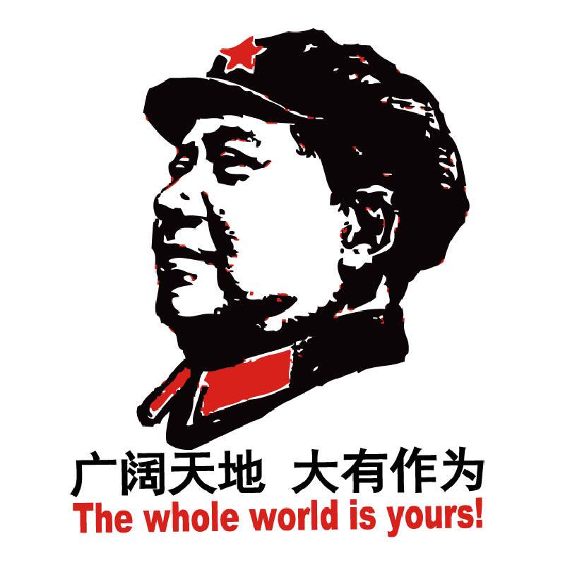 烫画图案gf11中国元素广阔天地大有作为人物头像热转印布贴