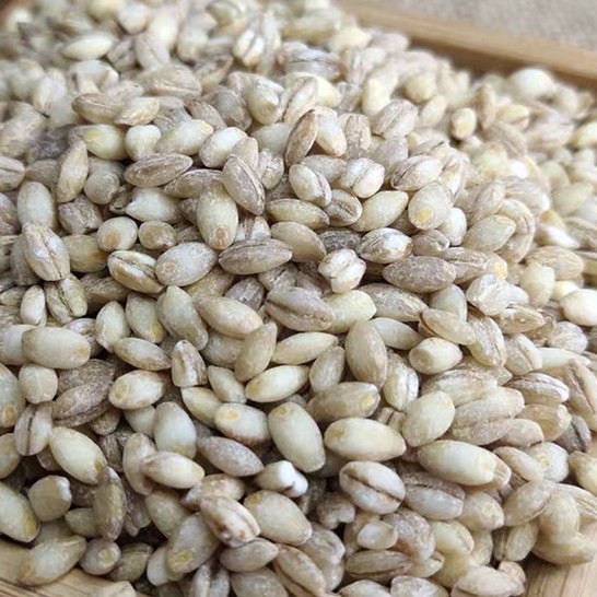 去皮大麦仁大麦米做粥农家食品五谷杂粮粗粮煮粥其它粮食