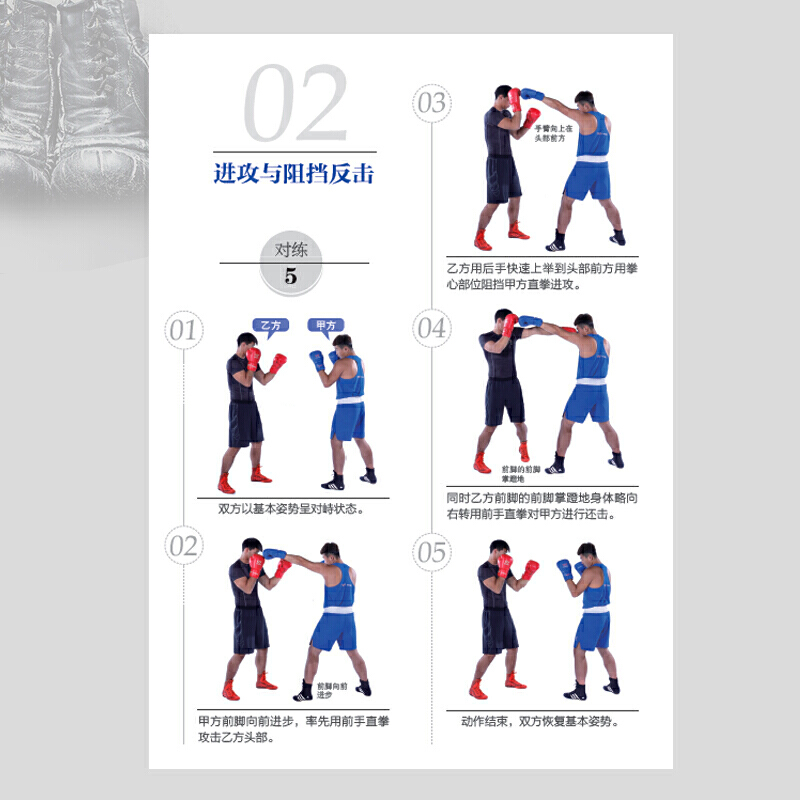 拳击运动从入门到精通 全彩图解视频学习版 拳击科学训练教程 零基础
