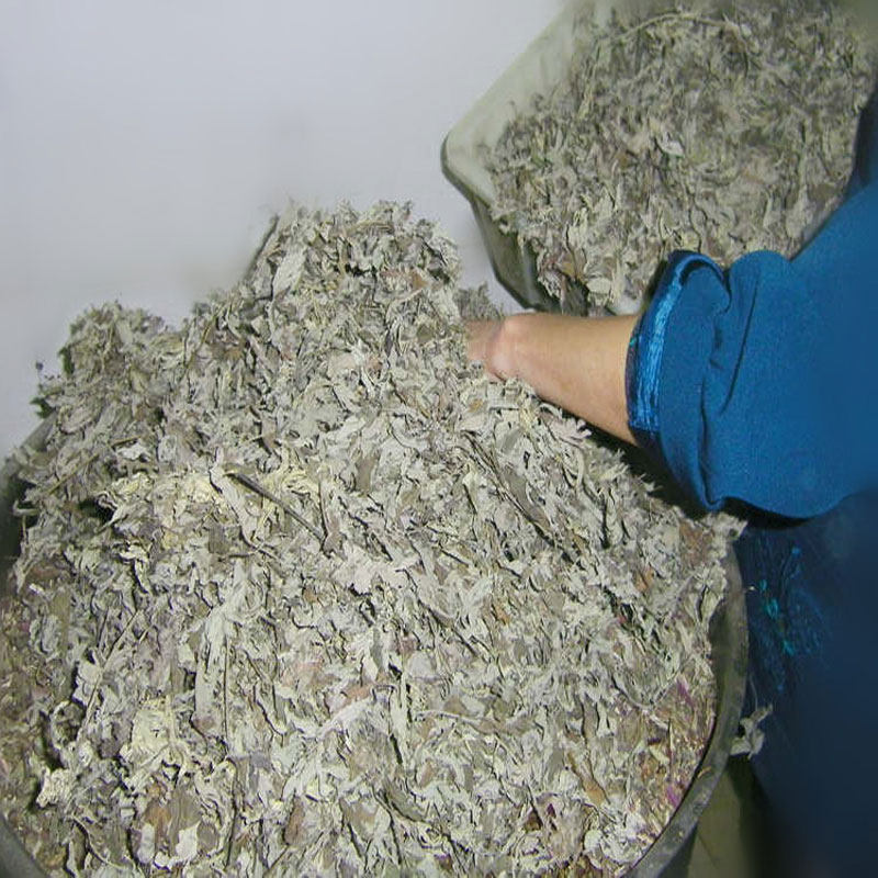 皂角野生天然洗发水手工自制侧柏叶控油去屑止痒洗发水