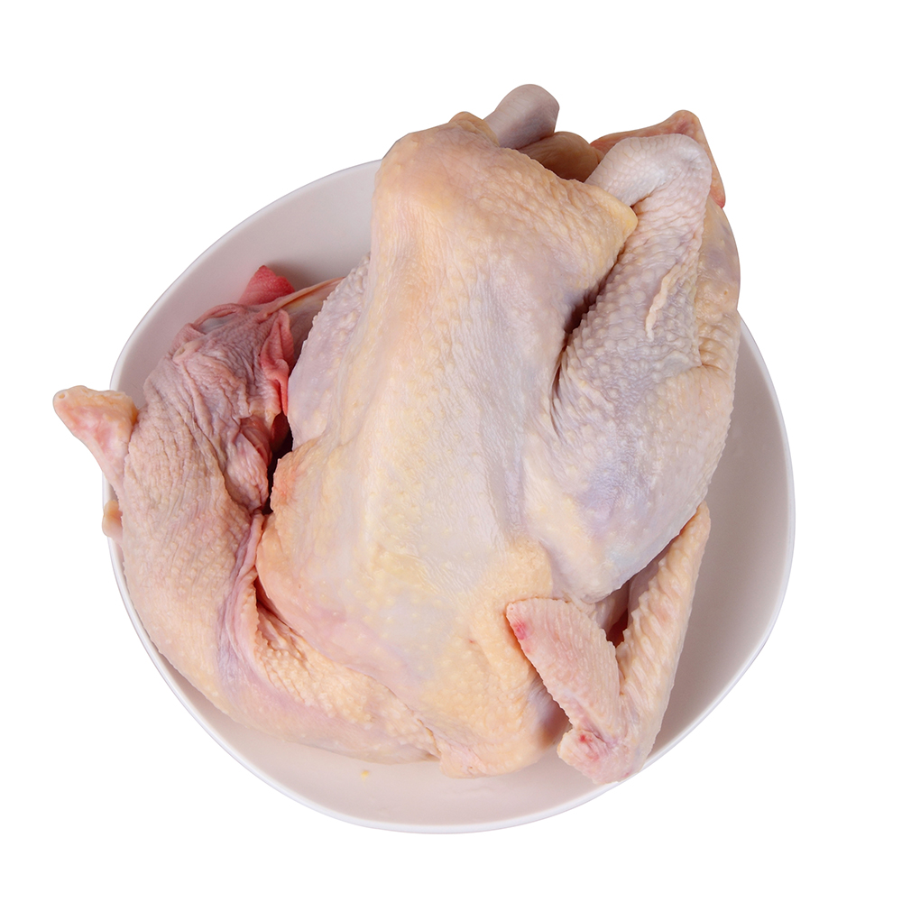 清远鸡鲜活正宗山地农家散养土鸡新鲜整只活鸡阉鸡老母鸡家鸡笨鸡