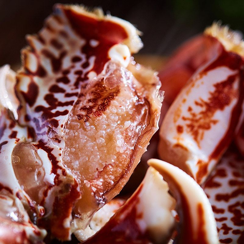 蟹钳发财三江即食醉虎600g醉蟹老虎酱蟹蟹类制品