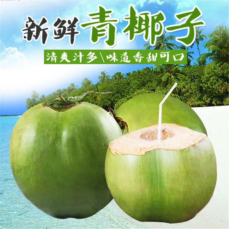 海南椰青新鲜带皮椰子5个装现摘现发椰子汁孕妇椰青