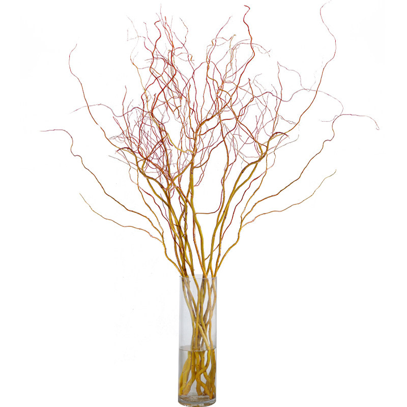 进口切枝德国金龙柳水培水养室内设计摆设鲜花鲜切 仲夏植物园 - 爱购