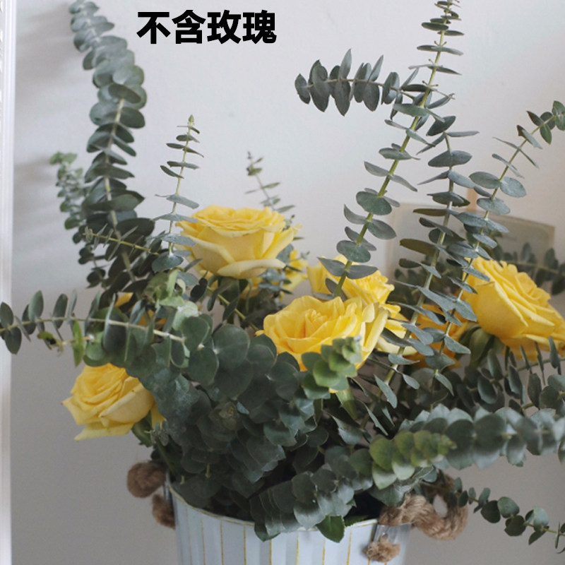 云南黄莺草基地直百合花玫瑰鲜花配草绿叶尤加利鲜花速递同城