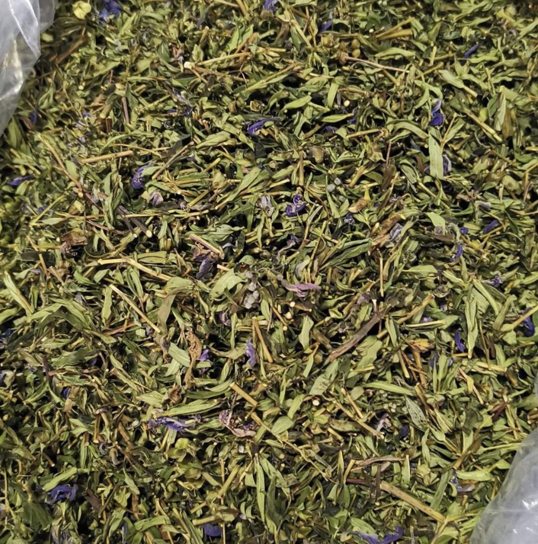 2020年新货内蒙古呼伦贝尔天然野生小黄黄芩叶茶100g其它干货