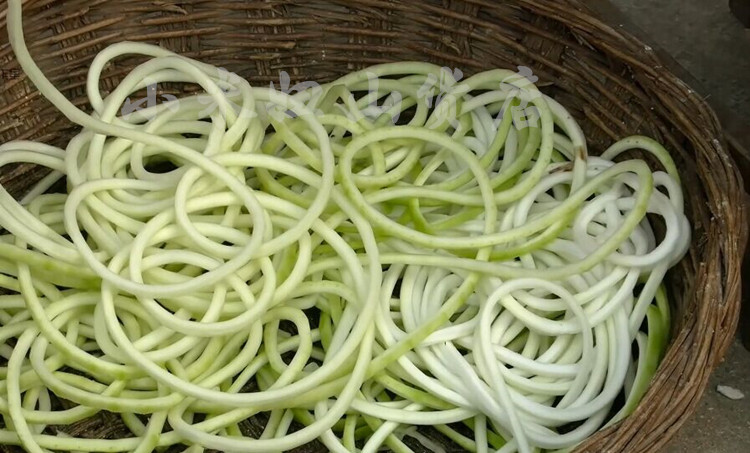 葫芦天然条干农家自制晒干干货脱水蔬菜干菜脱水蔬菜