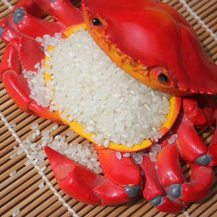 大米东北20斤五常种植米蟹田种植辽宁新米蟹2020大米