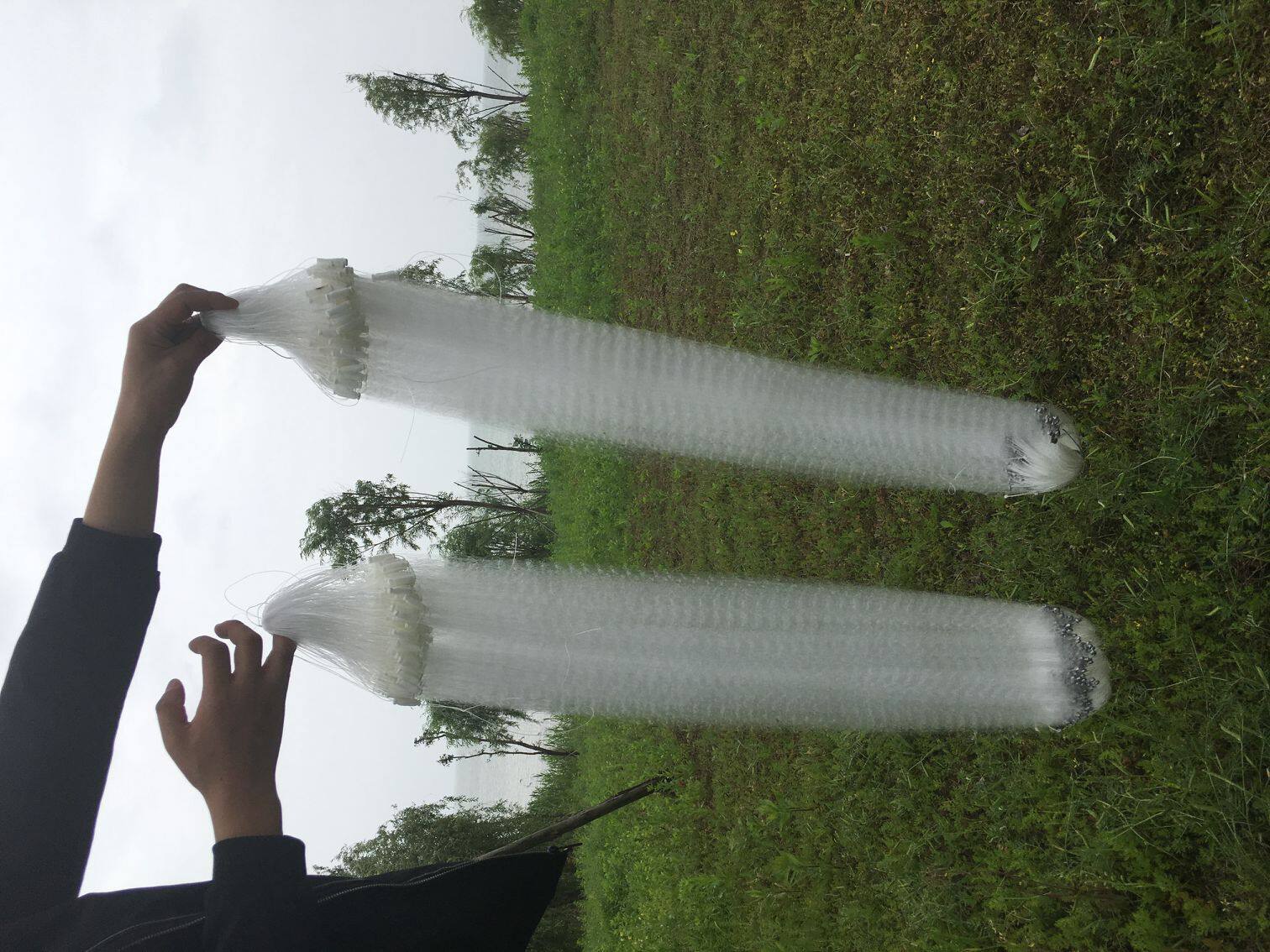 白条网粘鱼网小鱼网单层捕鱼网丝网一指鱼网70公分到1米沉网浮网