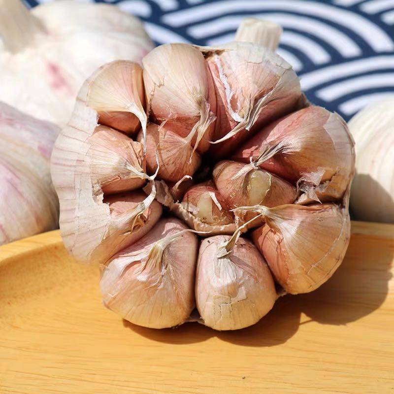 大蒜干红10成5斤晒干新晒干邳州蒜头紫皮发货大蒜