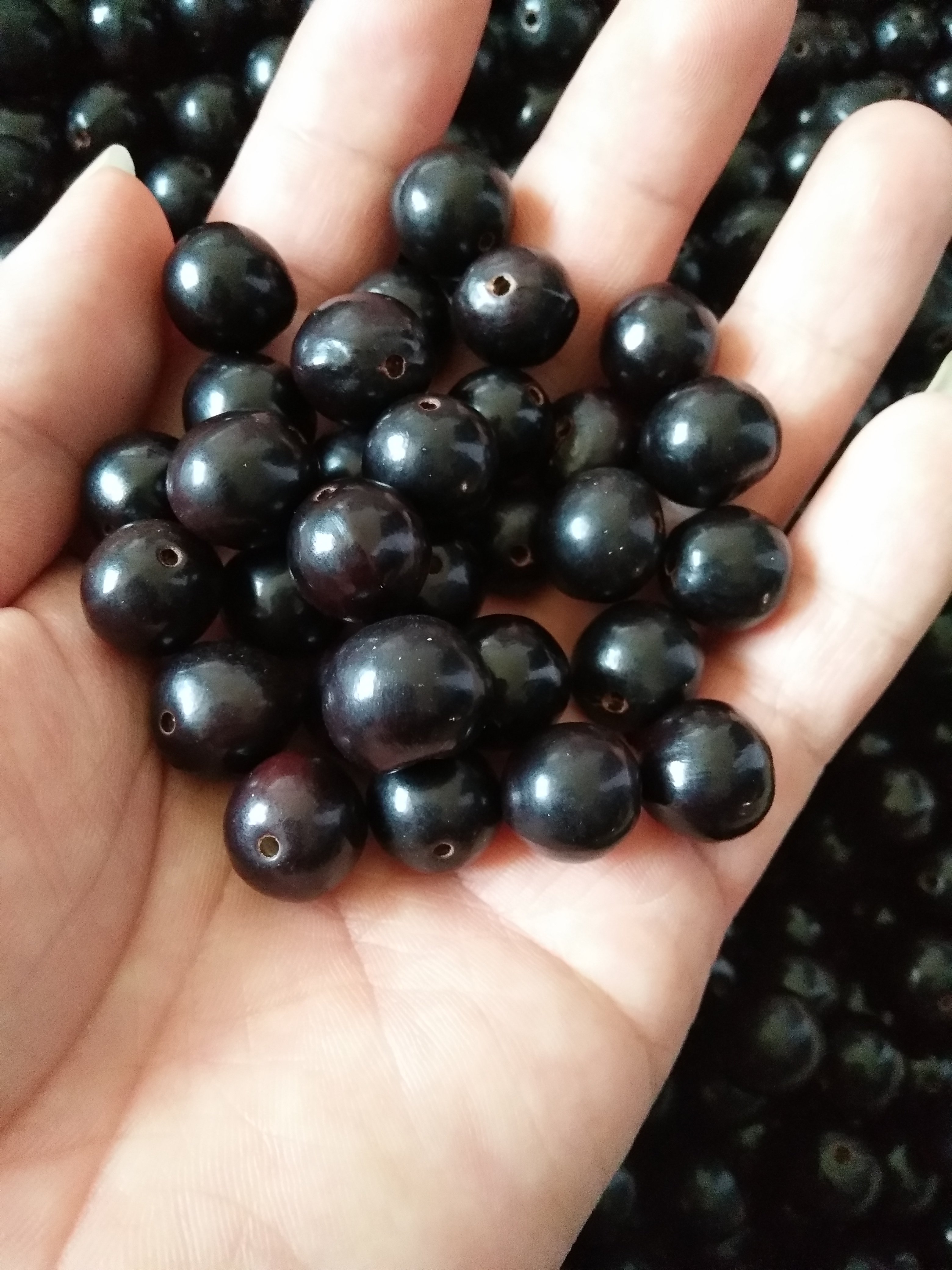 包邮野生木患子佛珠无患子原籽散珠鬼见愁辟邪diy菩提佛珠108手串