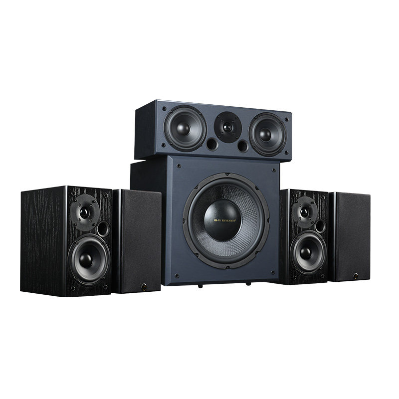 hivi/惠威套件单元diy天鹅9号hifi发烧 家庭影院5.1音箱套装 音响