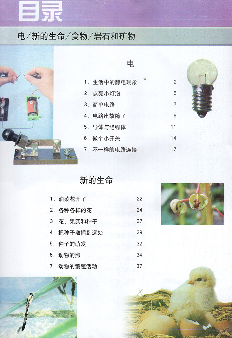 正版2020教科版四年级下册科学书 教科版四年级科学下册课本教材 教育
