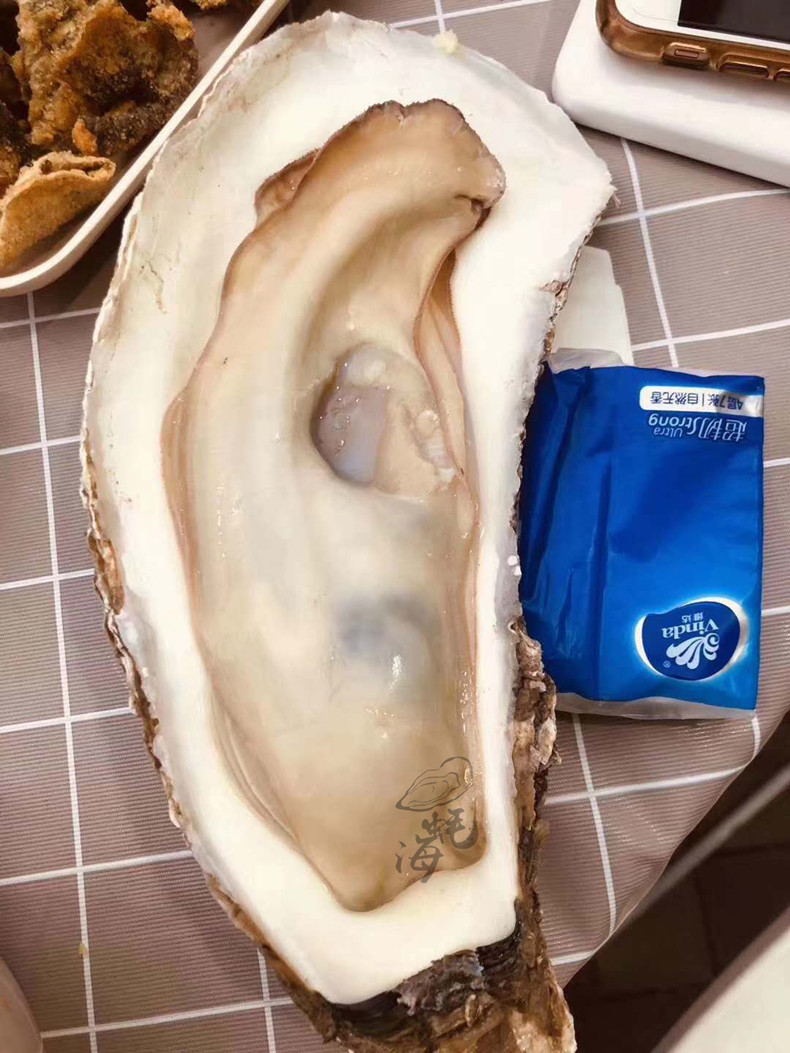 乳山超大鲜活生蚝台山新鲜牡蛎海鲜水产特大蚝王巨无霸顺丰包邮