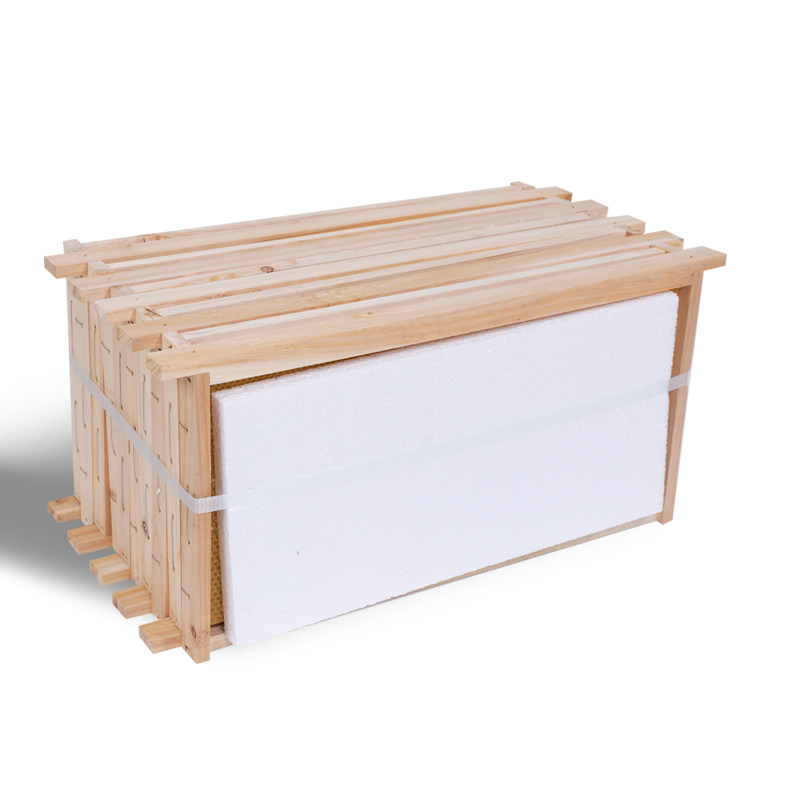 成品巢框带框巢础框杉木中蜂意蜂巢脾蜜蜂箱专用巢基全套养蜂工具