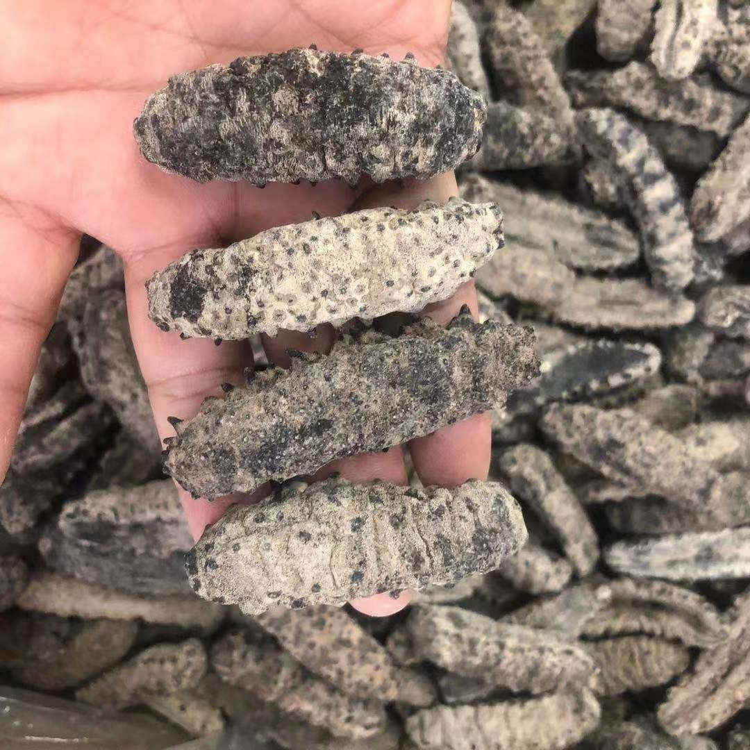 南美古巴参淡进口天然海参干货水产热卖原装海参