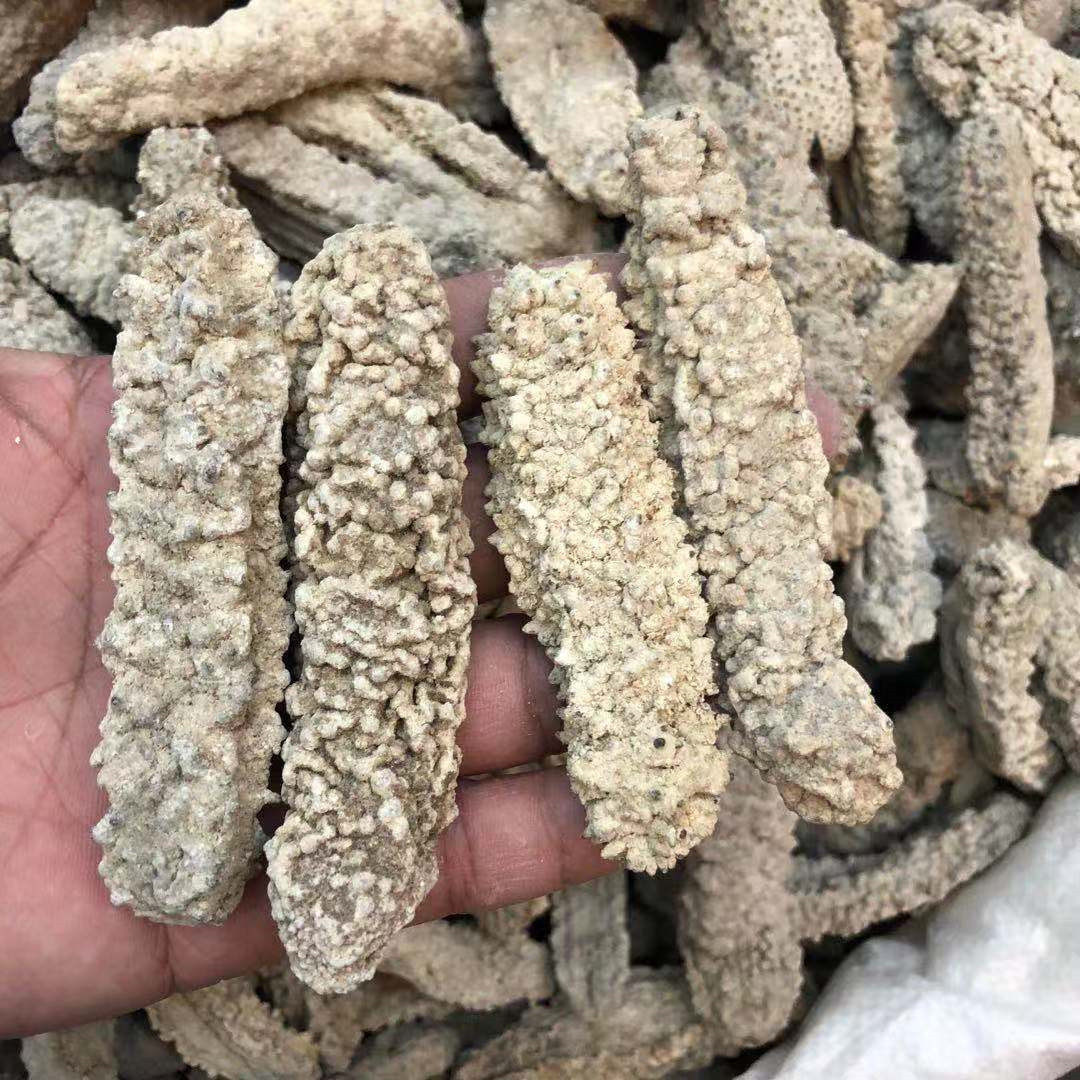 黄玉直销非洲进口水产海参干货深海黄肉白刺参海参