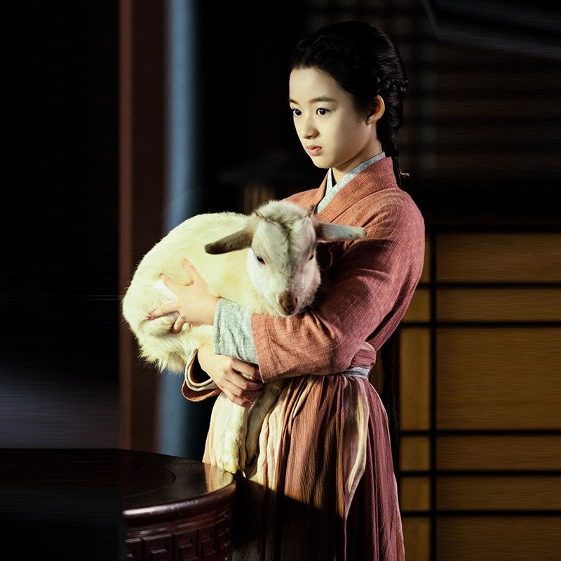 古装影视唐朝宋朝明朝女仆仆人女士棉麻群演民族服装