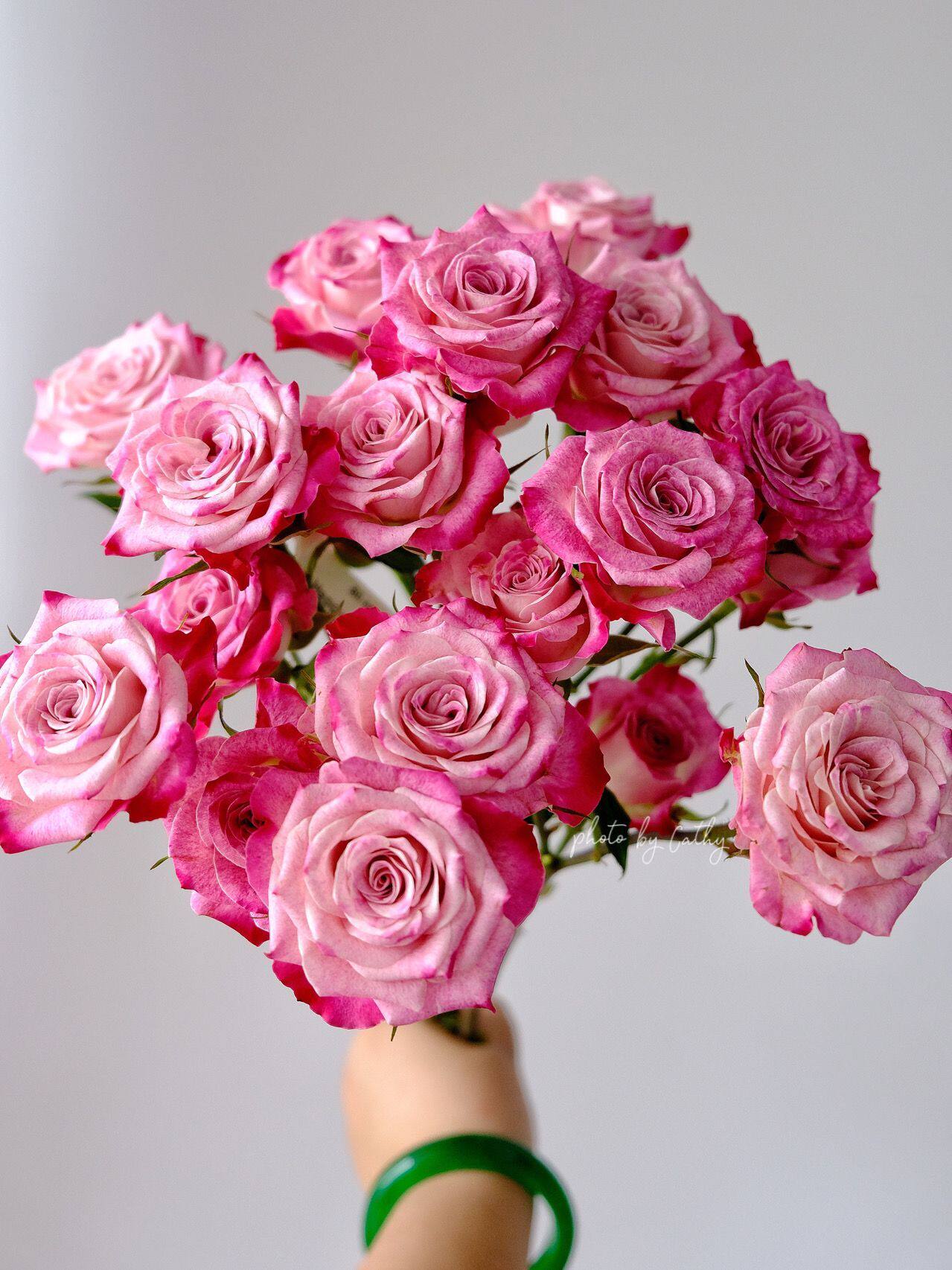 铃兰家花花公子新品多头花园玫瑰玫瑰花花苗盆栽阳台花卉