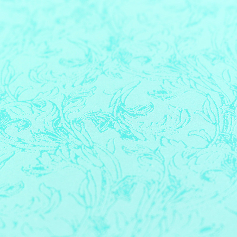 巧会计包邮180g平纹a3a4凤尾纹皮纹纸彩色装订装订耗材