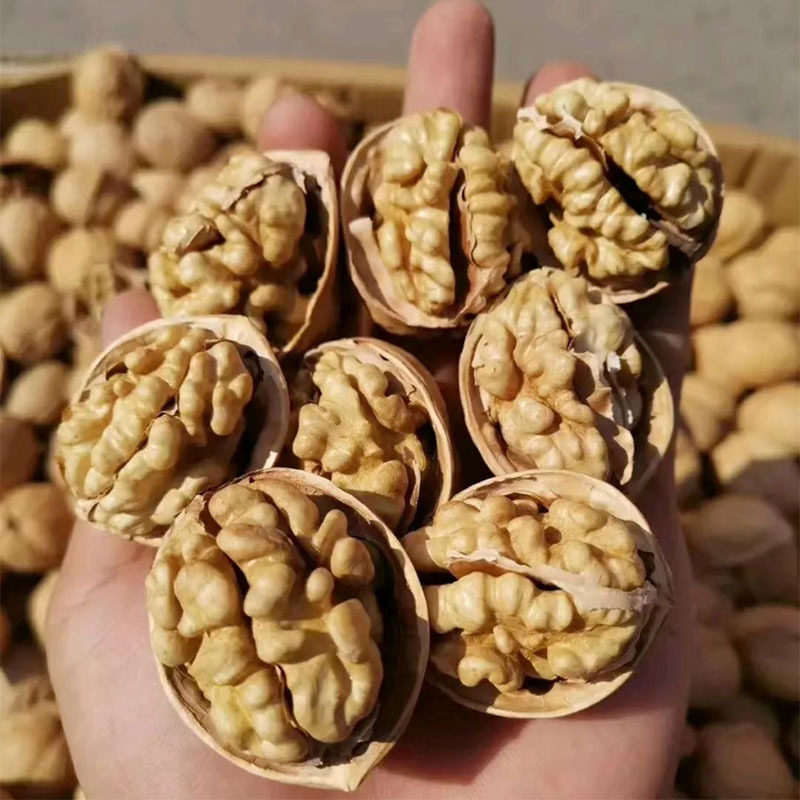 核桃新疆阿克苏薄皮和田纸皮全国顺丰包邮核桃仁