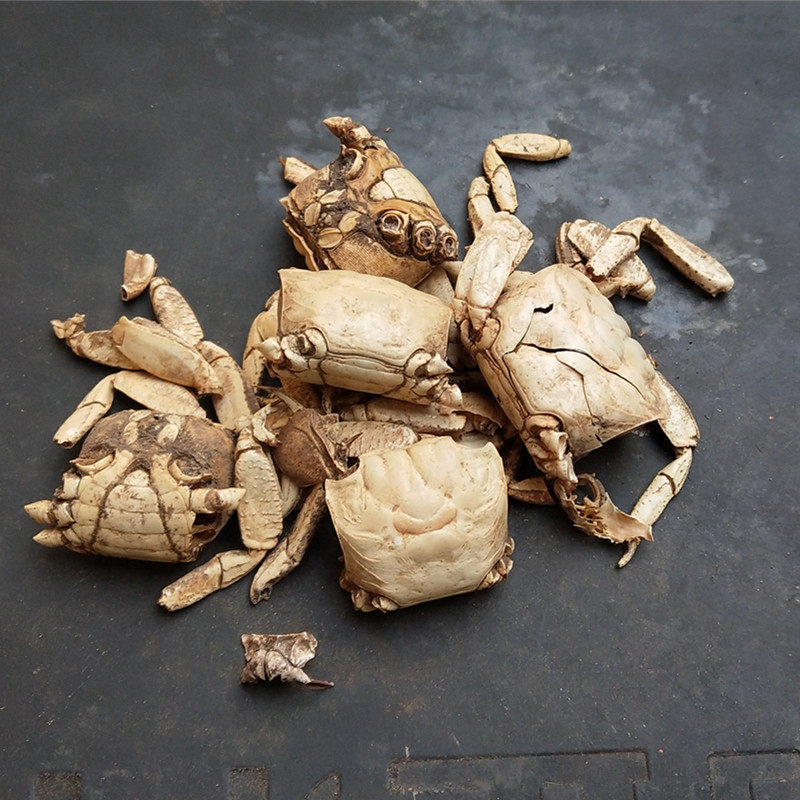 螃蟹方海500克包邮药用干货蟹壳其他药食同源食品