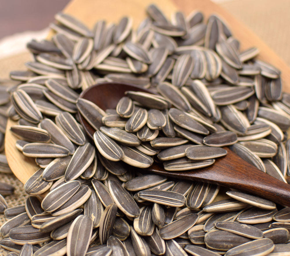 瓜子新货农家铁锅现炒原味向日向日葵葵花籽清香瓜子