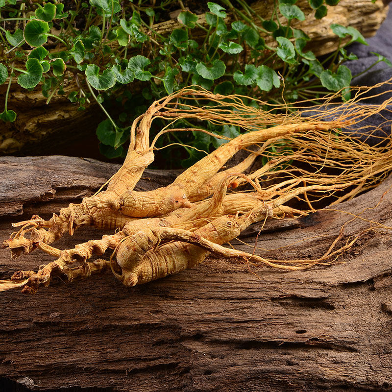 长白山野山参移山参山参残肢东北人参15年林下参1.5元/克微残泡酒