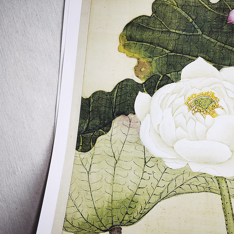 王图炳荷花真迹复制品35x127cm台北故宫收藏清朝国画国画