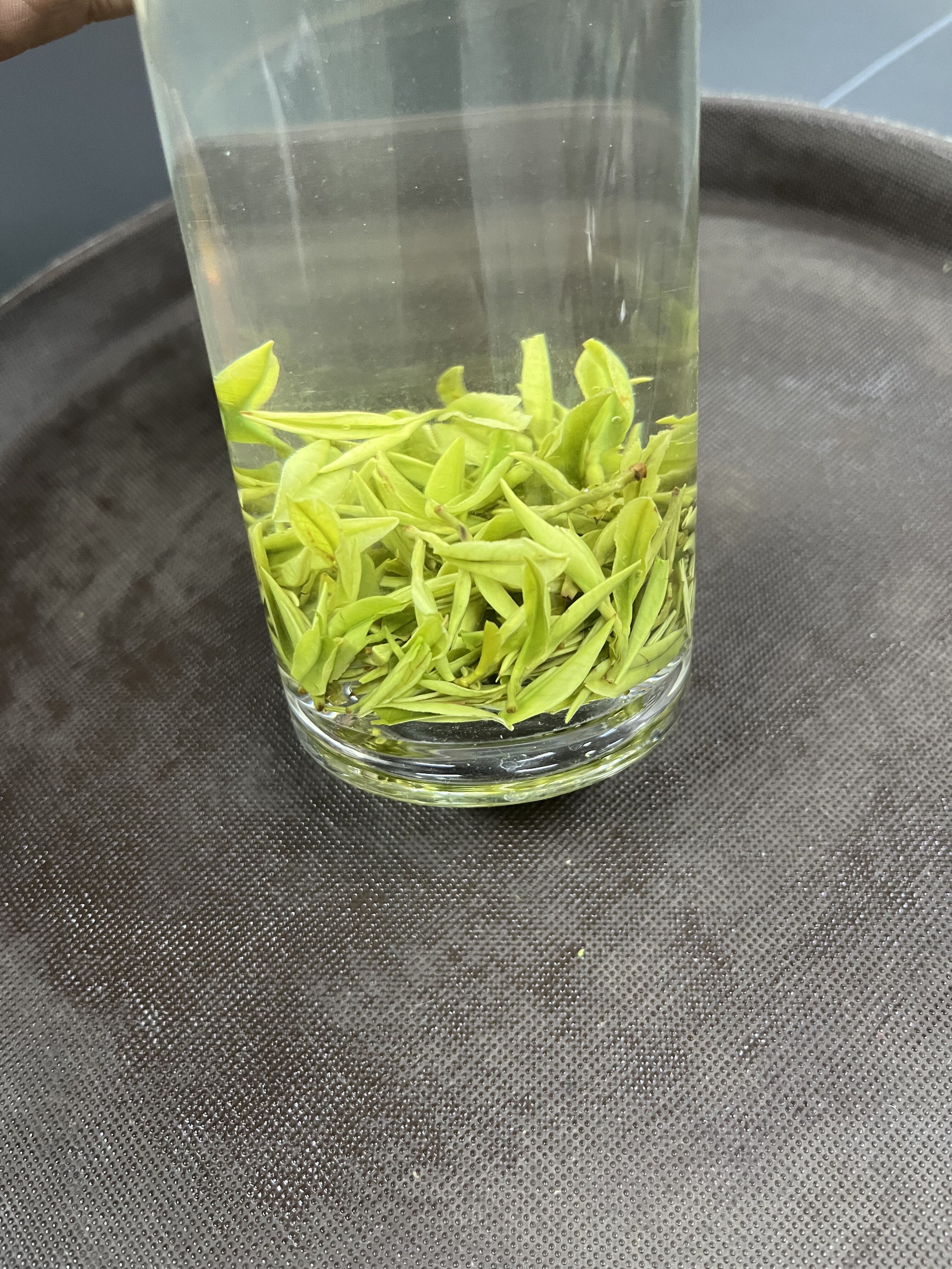 白茶2023年新茶叶茶叶虞山常熟工艺绿茶碧螺春半斤特色产区绿茶