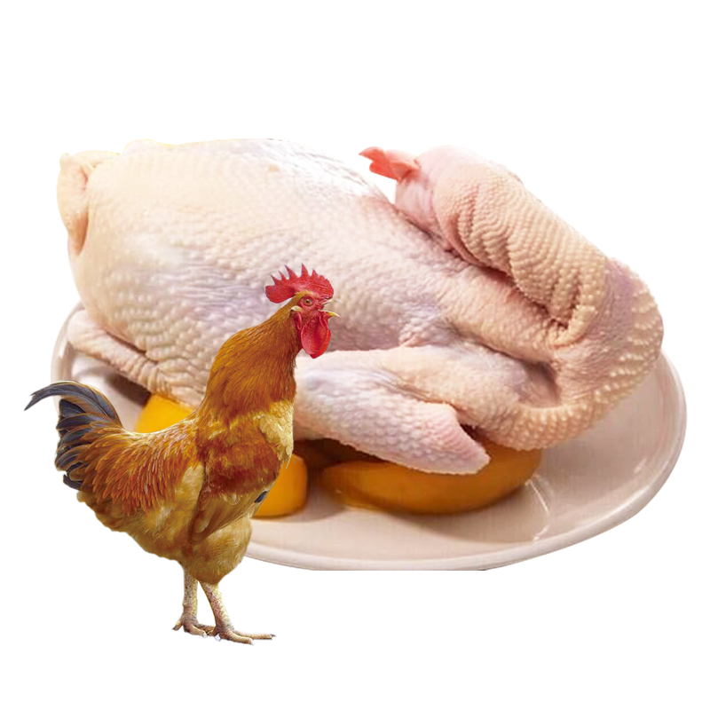 储山 大别山农家散养土鸡公鸡 草鸡杀后约1.2kg