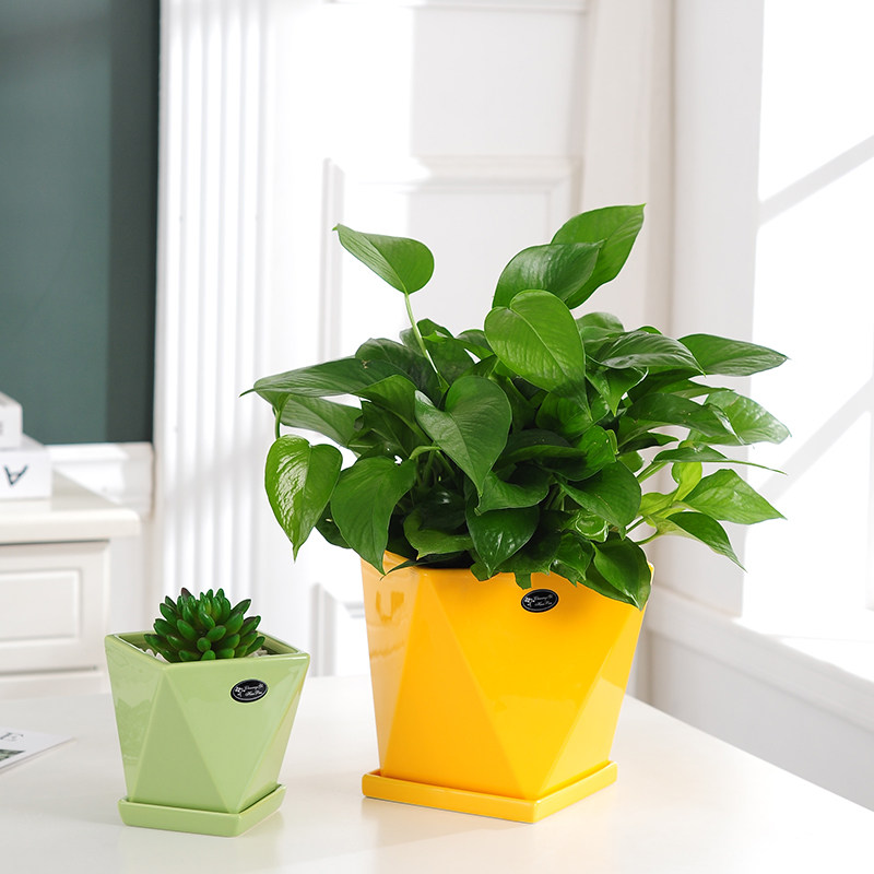 哑光花盆陶瓷北欧简约创意大号托盘黑白室内花盆