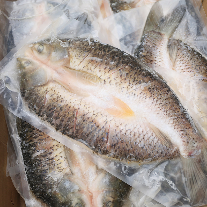 开背草鱼包皖鱼冷冻鲩鱼新鲜半成品腌制烤鱼专用淡水鱼类
