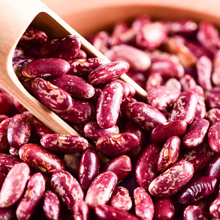 贵州特产农家自种四季豆 豆子豆米火锅花豆酸菜豆米花芸豆2斤包邮