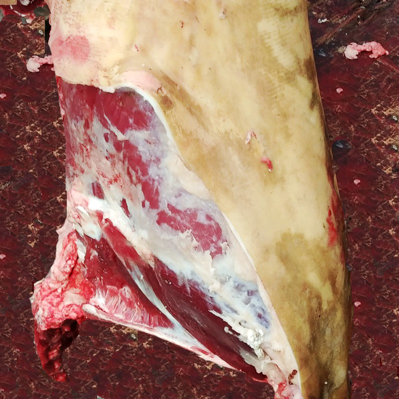 贵州带皮嫩牛肉10斤 吃草黄牛肉生牛肉新鲜农家散养现杀本地包邮