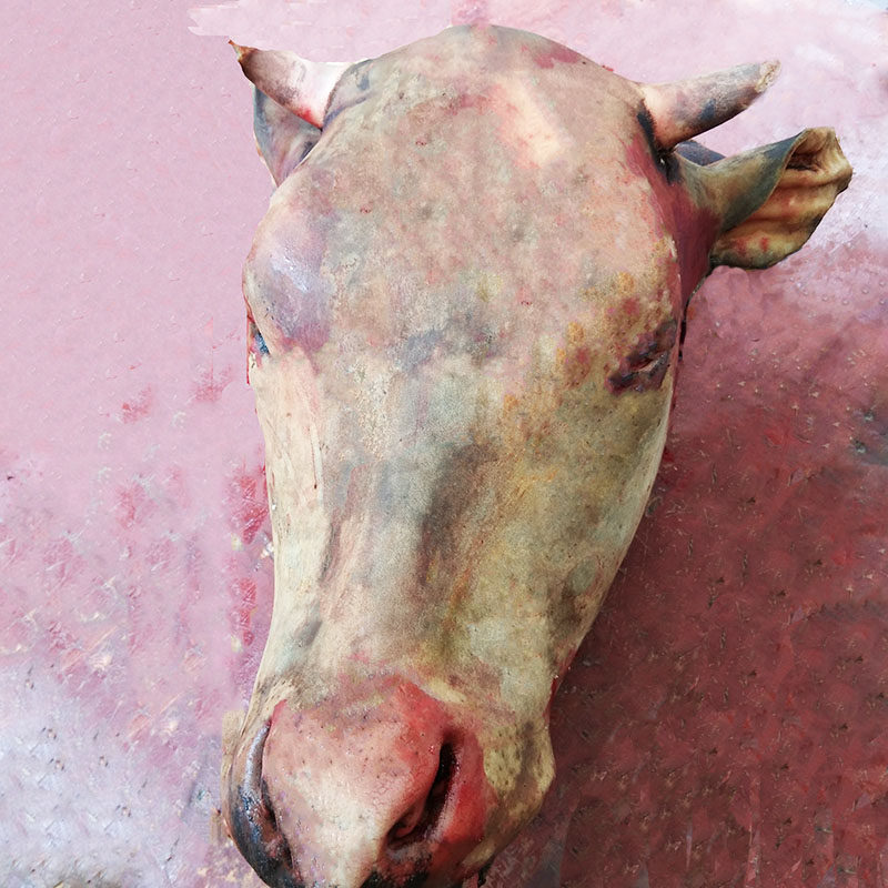牛头新鲜5斤不带骨牛脸肉农家散养黄牛现宰生牛肉