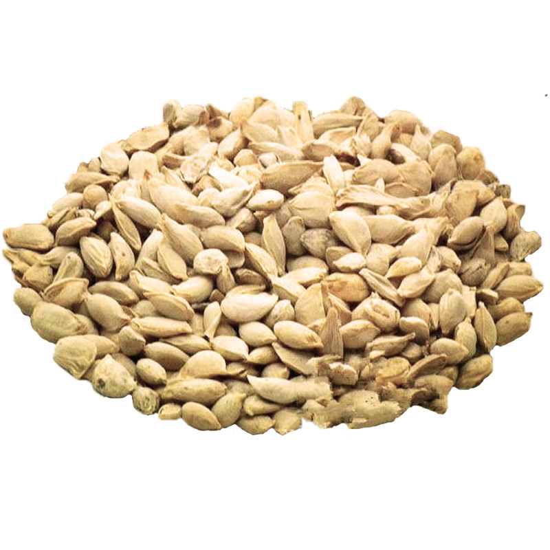 柚籽新鲜柚子核干柚核核白红心梁平蜜柚农家柚子