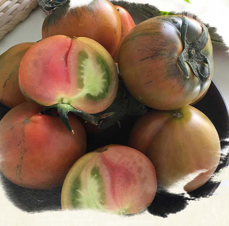 柿子丹东草莓铁皮绿腚西红柿碱地番茄灯笼果5斤番茄