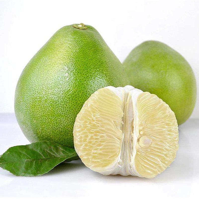 正宗原产吉安庐陵特产井冈蜜柚金兰金沙10斤柚子