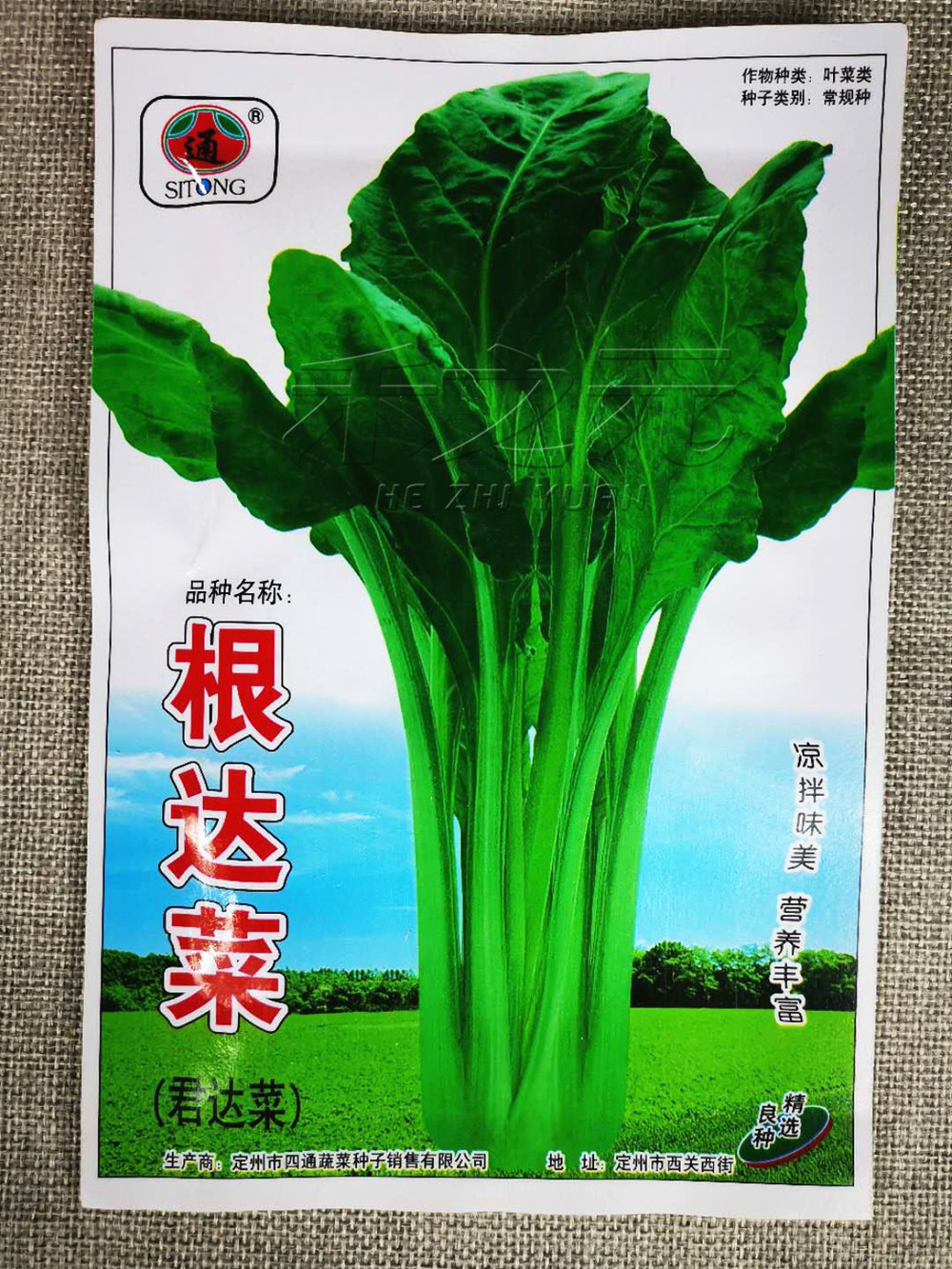 绿根达菜种子君达菜青菜籽野菜种子蔬菜春夏秋劈菜种籽四季秋冬季